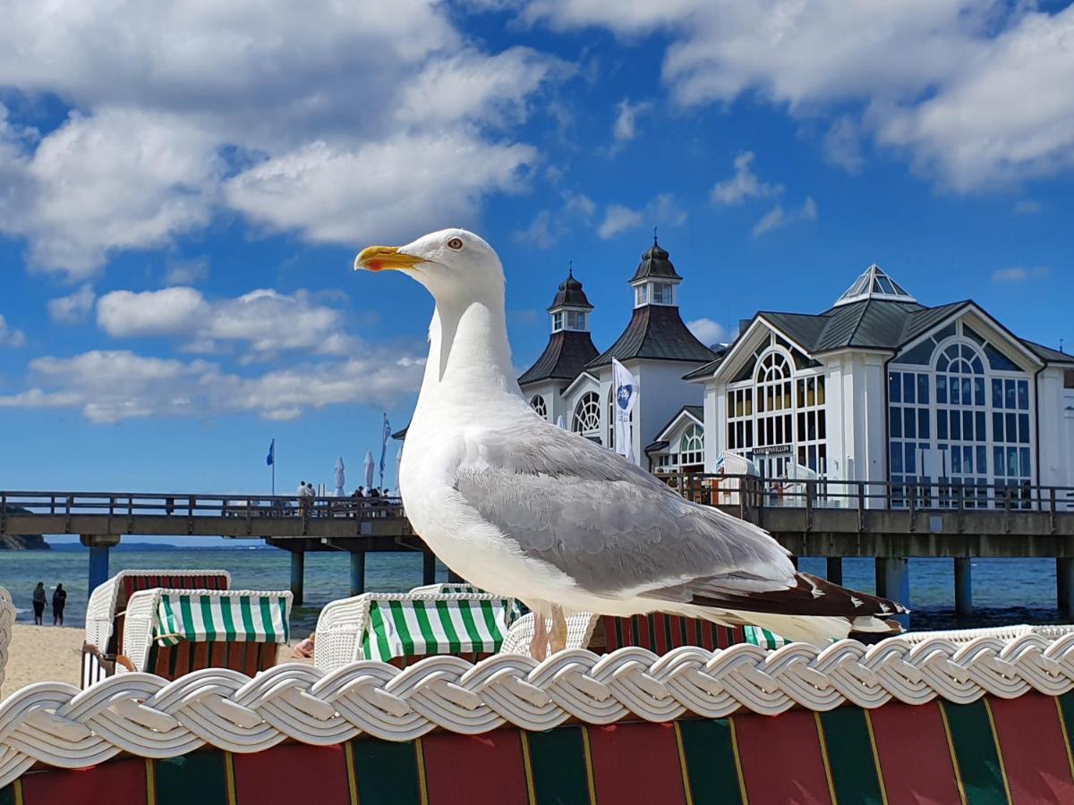 Das Appartement Inselliebe Ruegen Inkl Sauna Und 3H Taeglich Eintritt Ahoi Schwimmbad Sellin (Rugen) Exterior foto